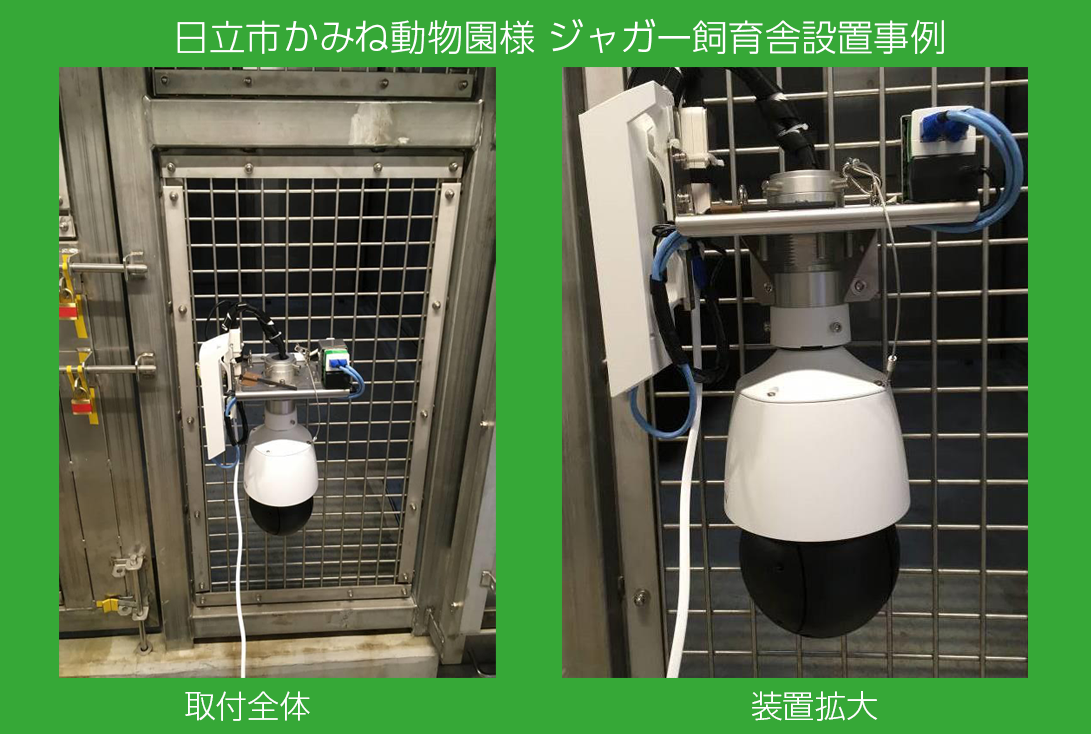 JVSの動物生態観察装置