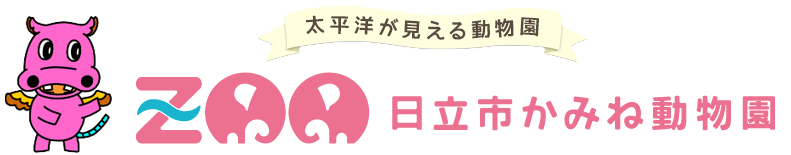 動物生態観察装置